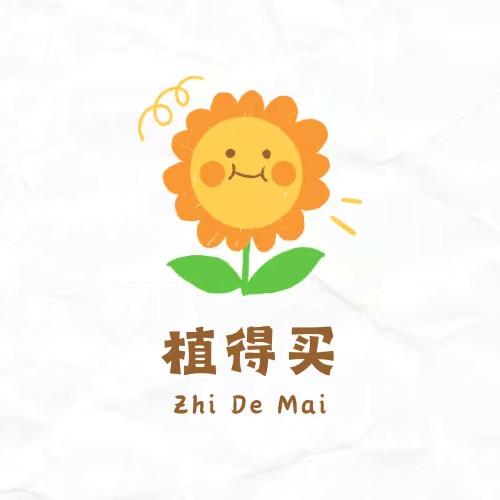 植得买三角梅基地