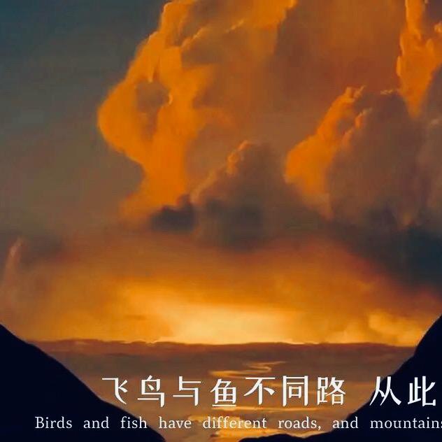 律动