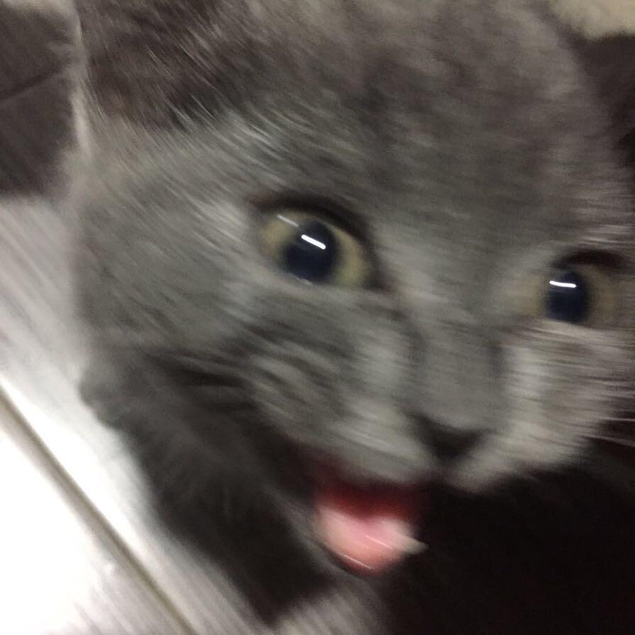 5463