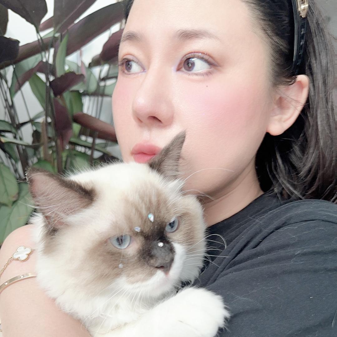 毛孩子🐱🐱🐱