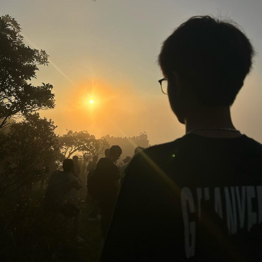 点拼好饭也用卷