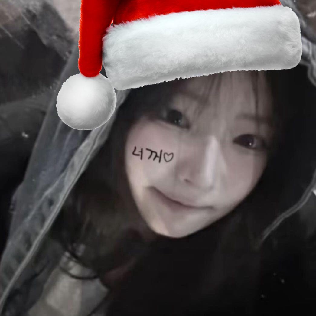 威风凛凛的猫咪将军