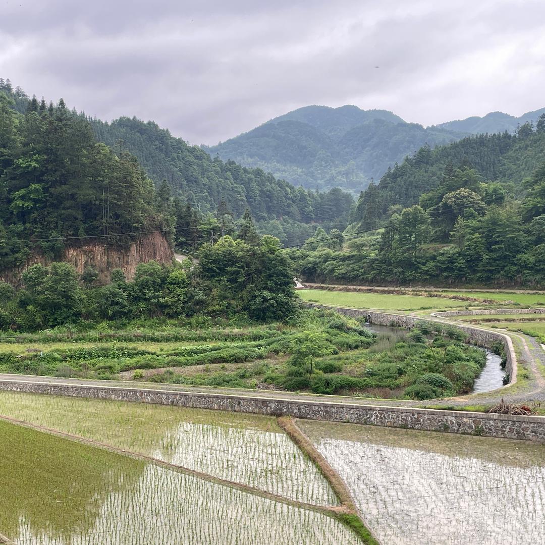 乡村景依味