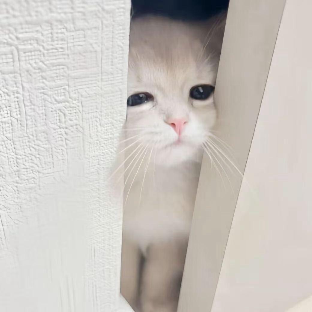 没心情.