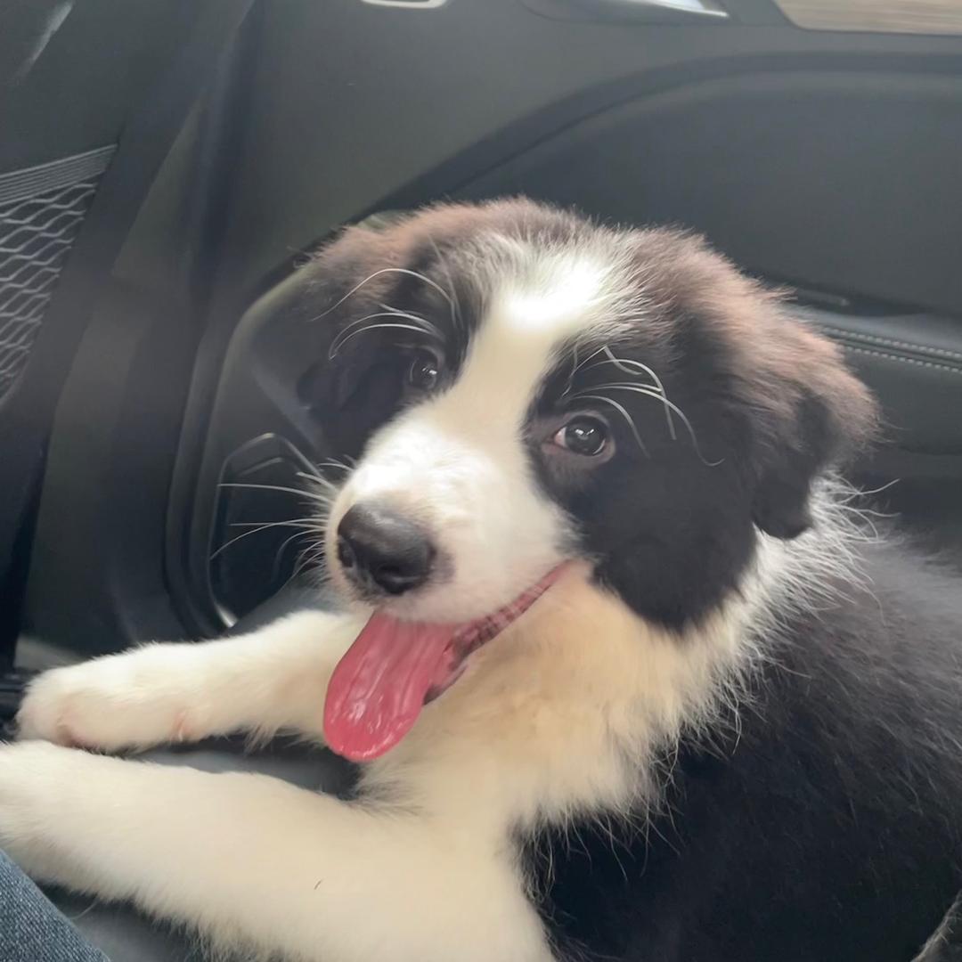 我不知道我不知道