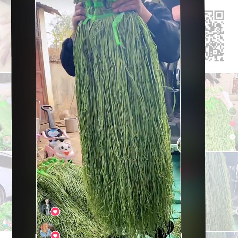 云南原产地贡菜直销