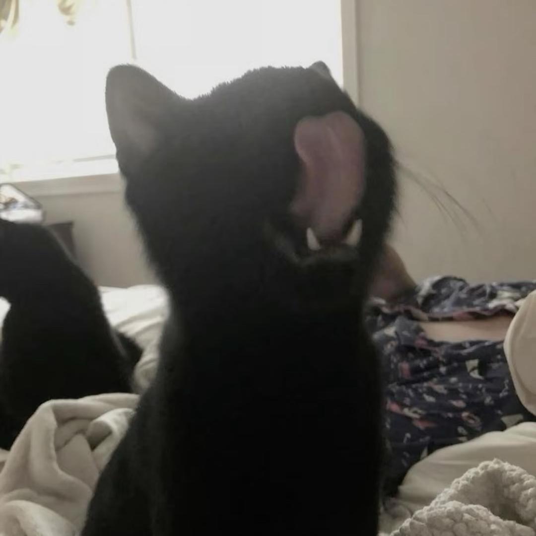 打無