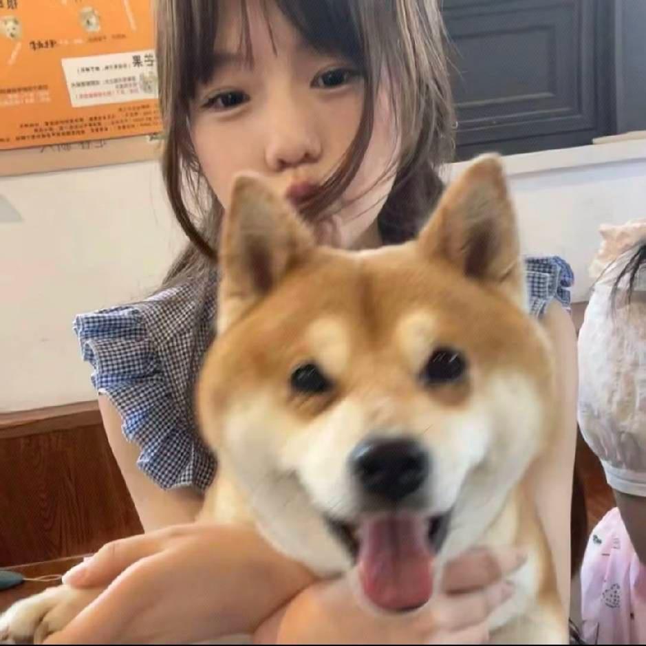 稀游-小聪