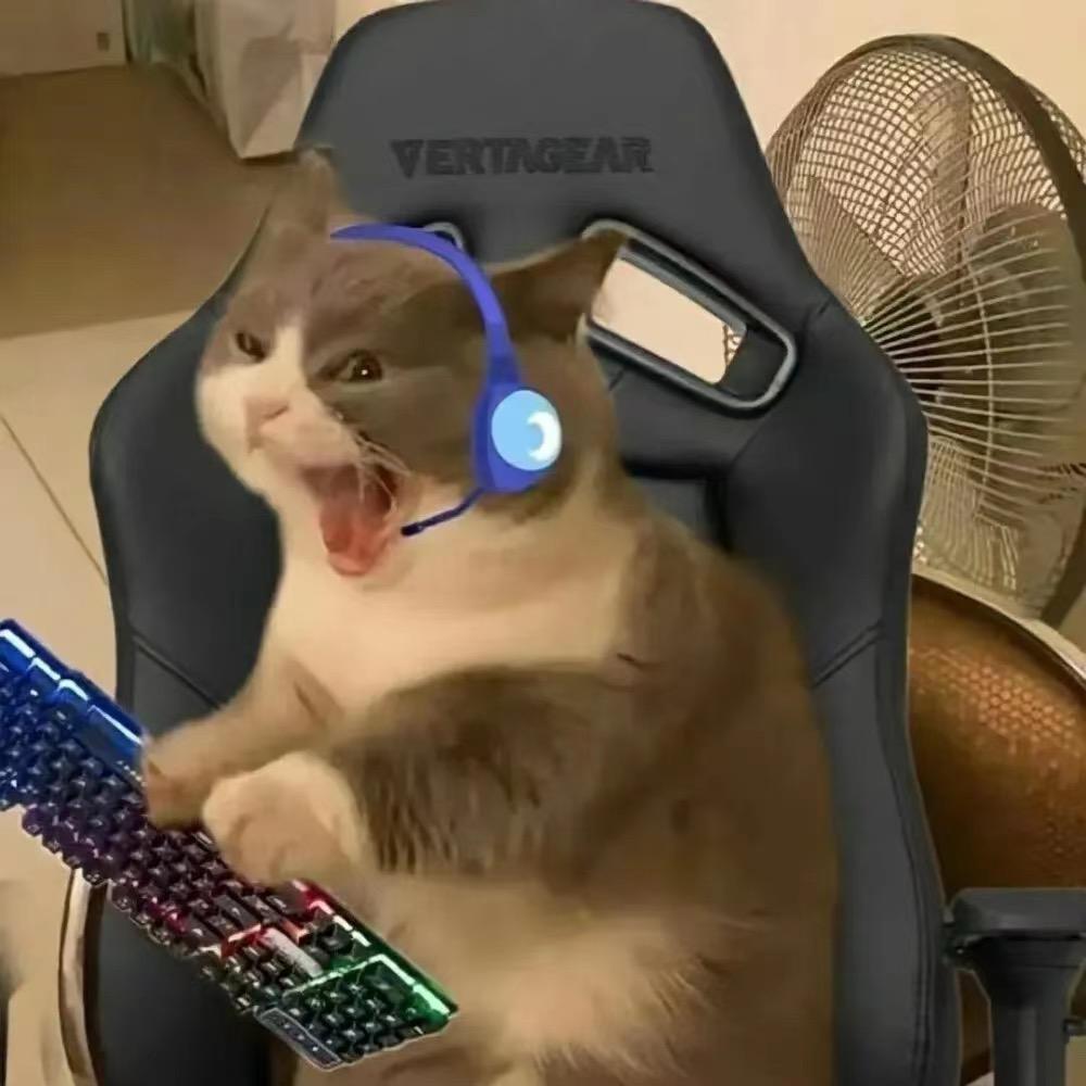 ᦔⅈડꪖρρꫀꪖrꪖꪀᥴꫀ.