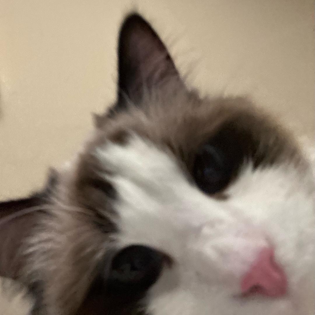 几水