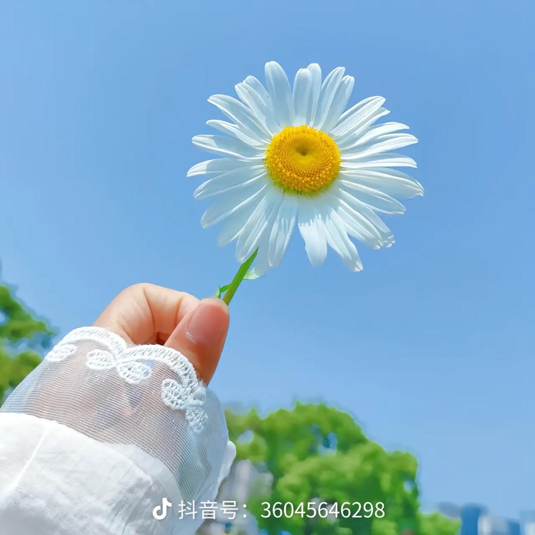 🍀ʕ·͡˔·暖心向阳Ɂ^_^