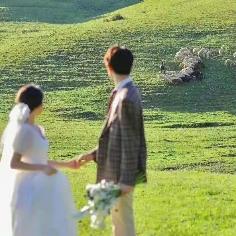 睡不醒吖.🐑