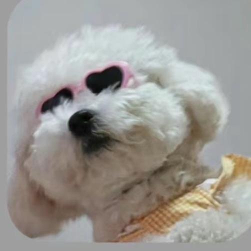 iiiivy