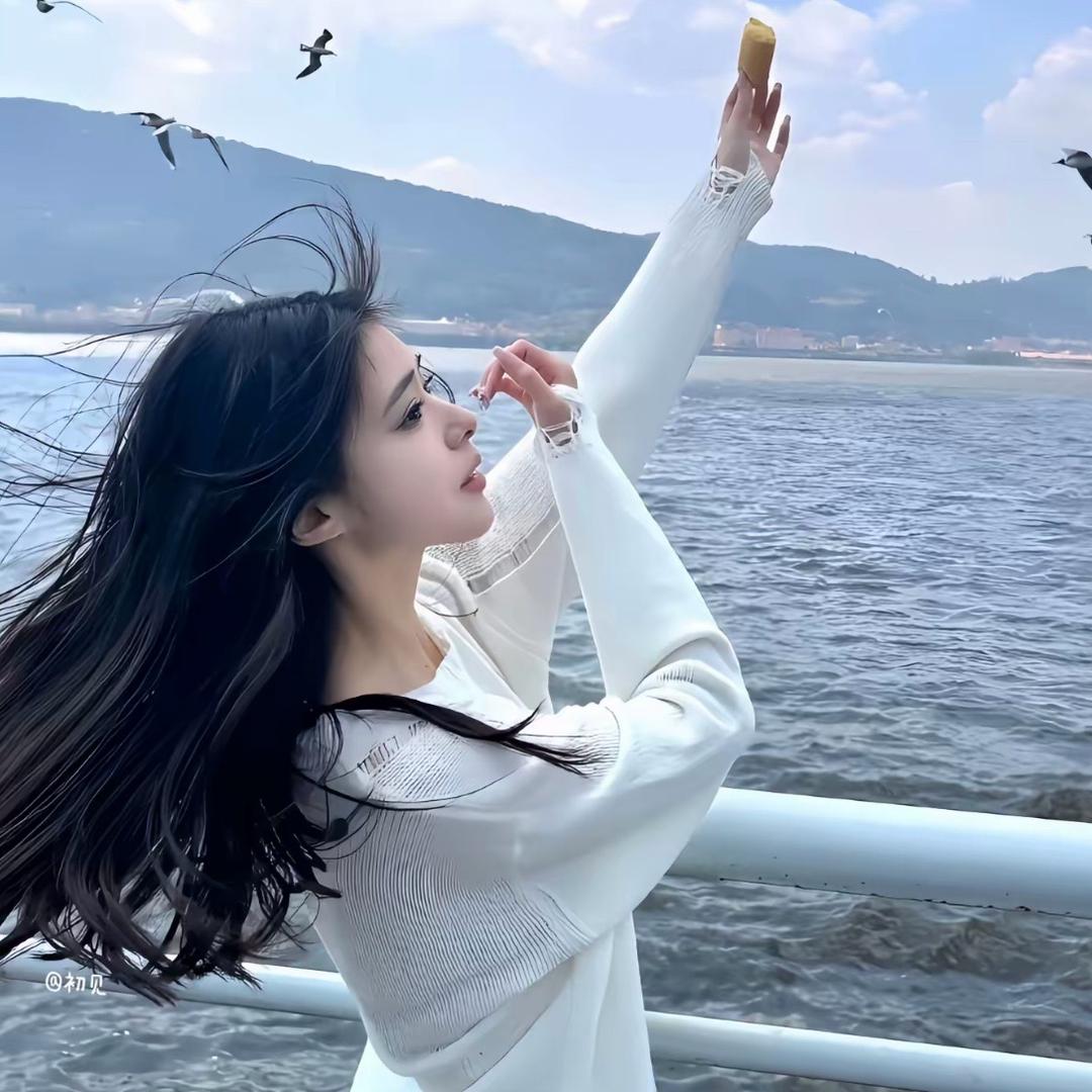 风声🌪3.0