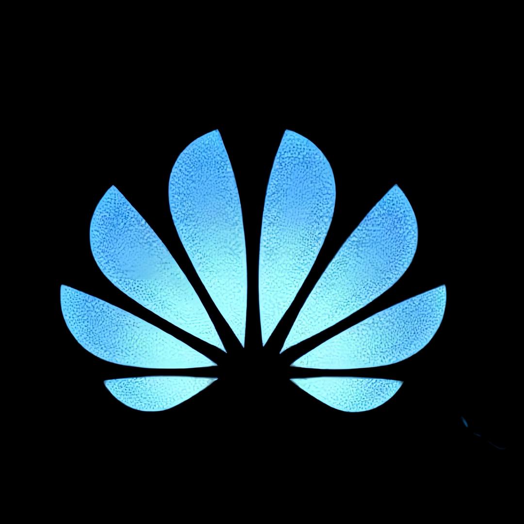 华WEHI表新品