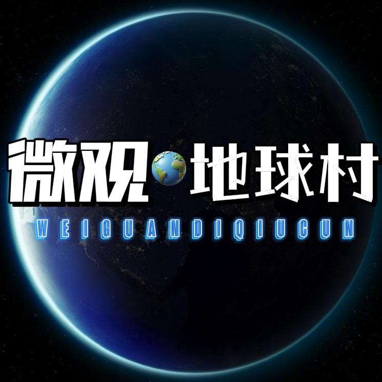 微观·地球村