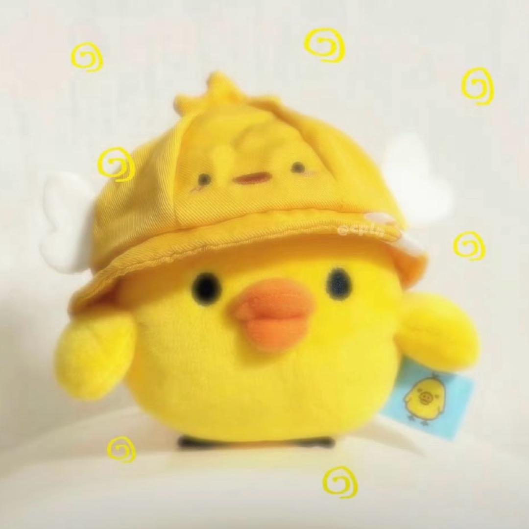 劳资他妈叫琳琳