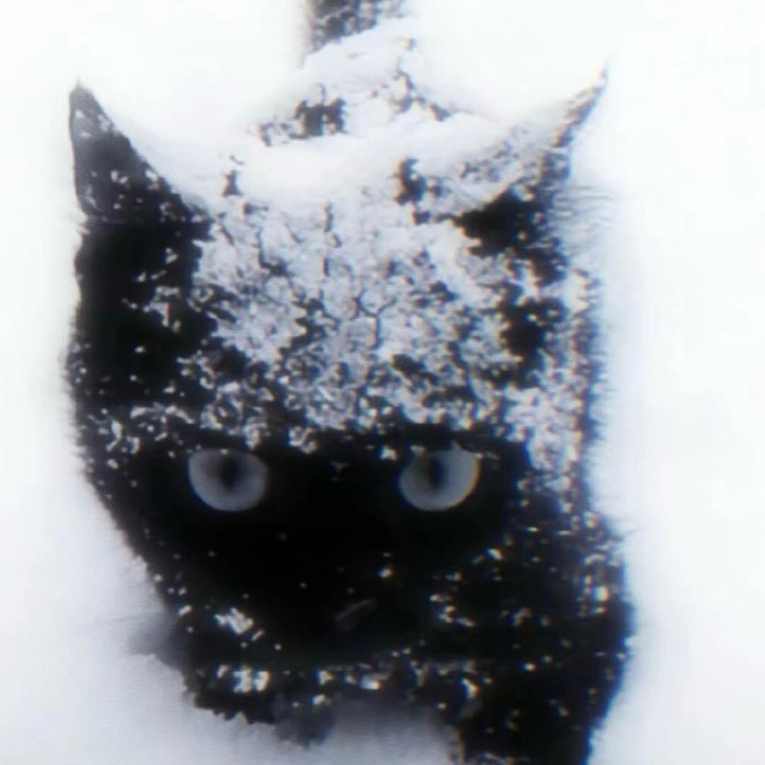 -20·