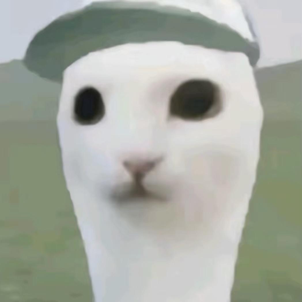 菲.