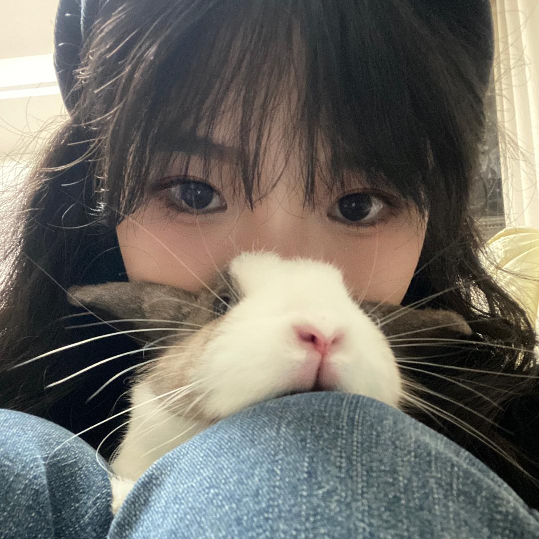 刺刺猬