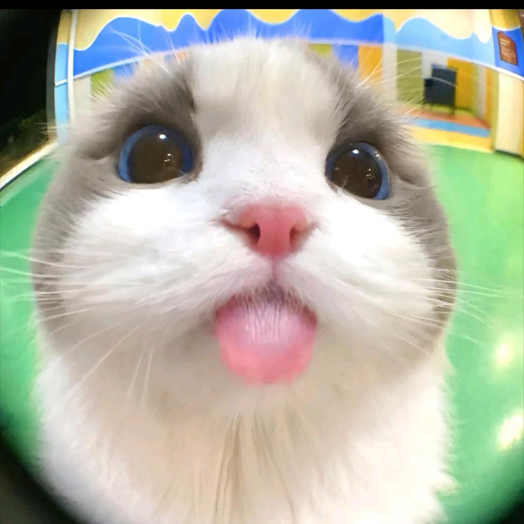 果果