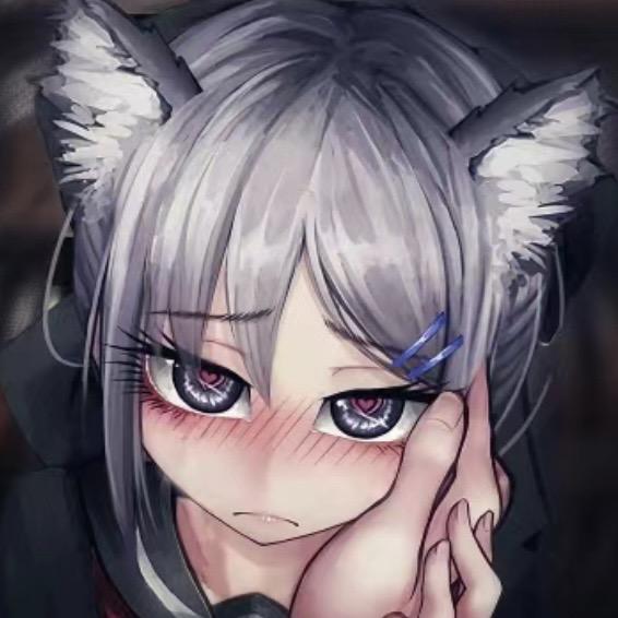 猫kami