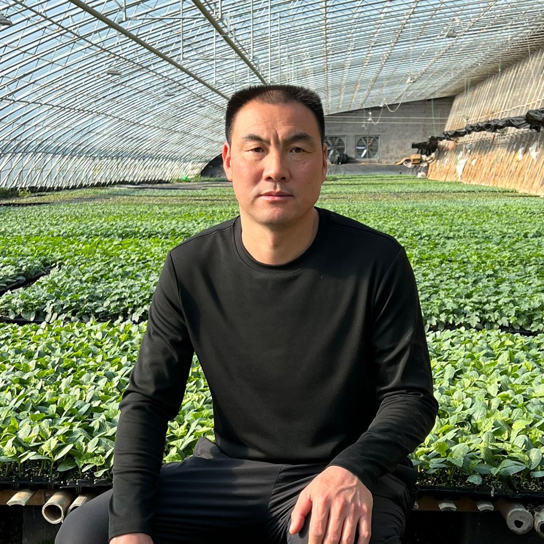 寿光洪强蔬菜种苗