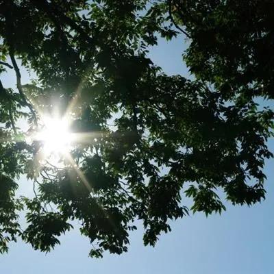 故事太长 太心酸