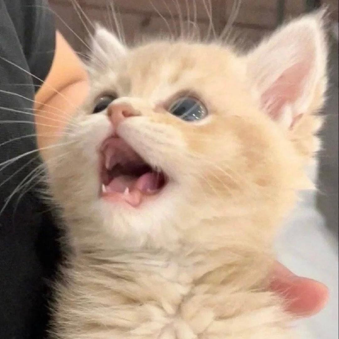 就算在风暴中心也要冷漠