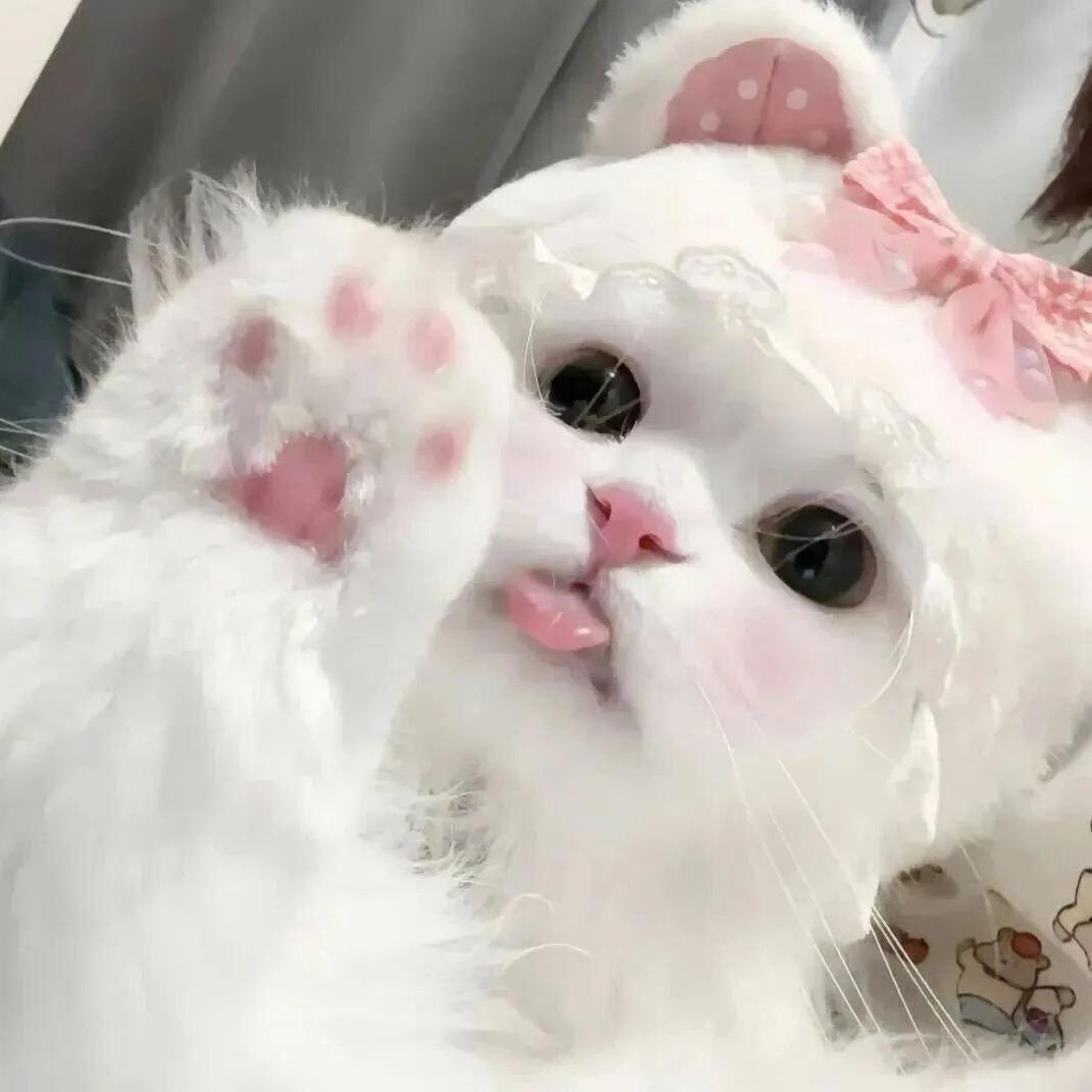 ^Beauty.呆呆.^