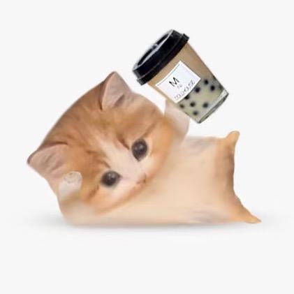 晶晶穿搭日记