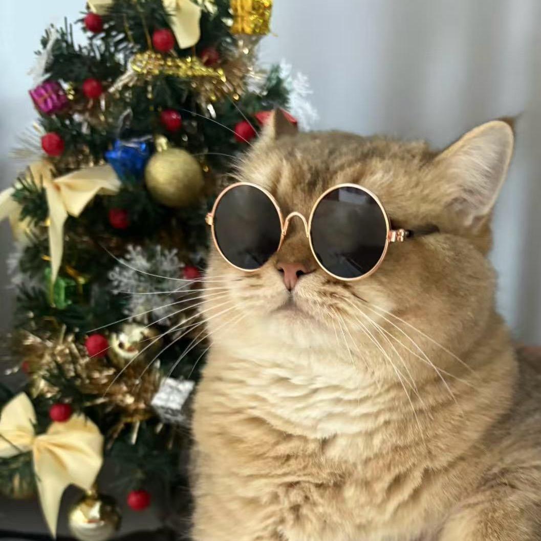 猫理想国 解忧馆 宠物店