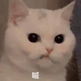 蒙鼓国海军嘶令