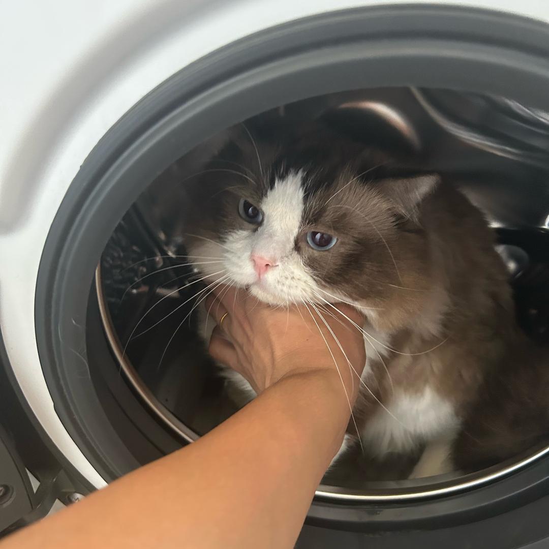 穆麒