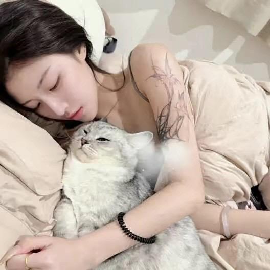 呆呆.