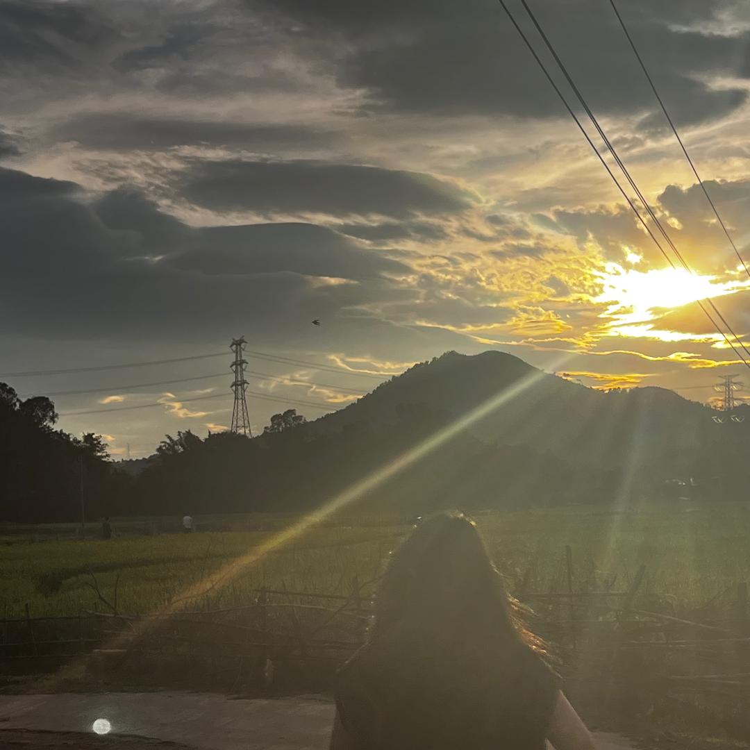 顺顺利利