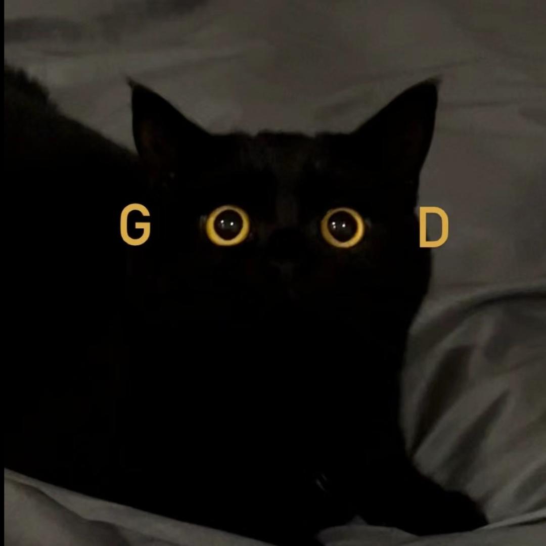 抓到一名夜猫子