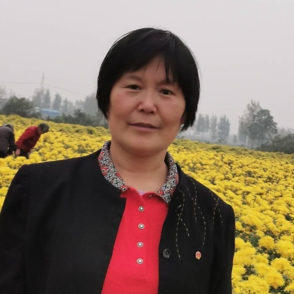 王春花说农技（wc13839536335