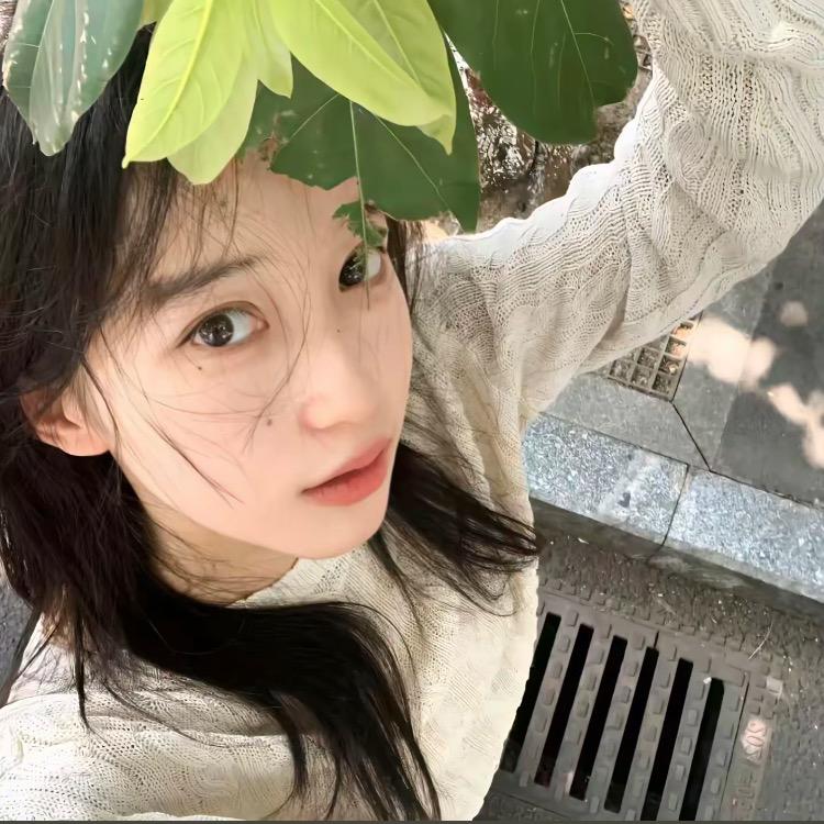 小猫不会飞