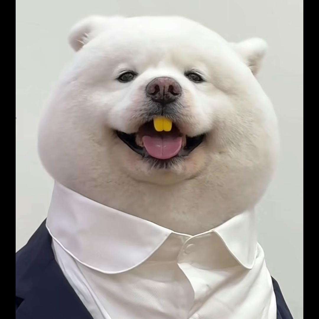 术°