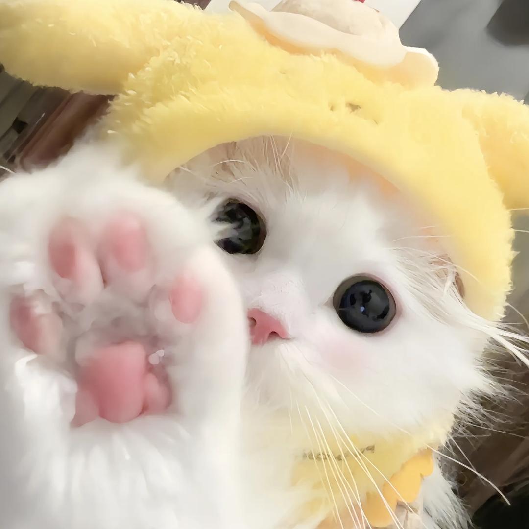 U米百宝箱