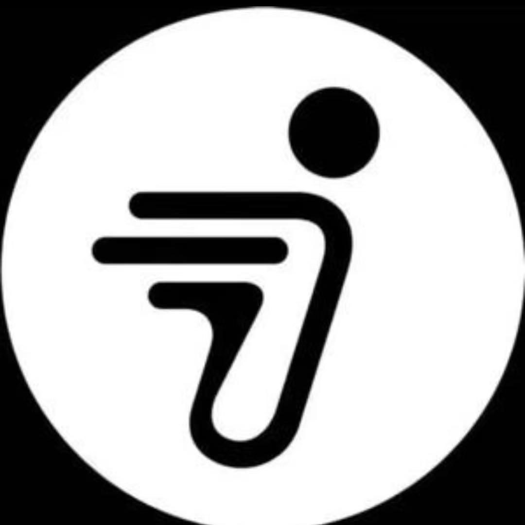 九号电动车    小胖