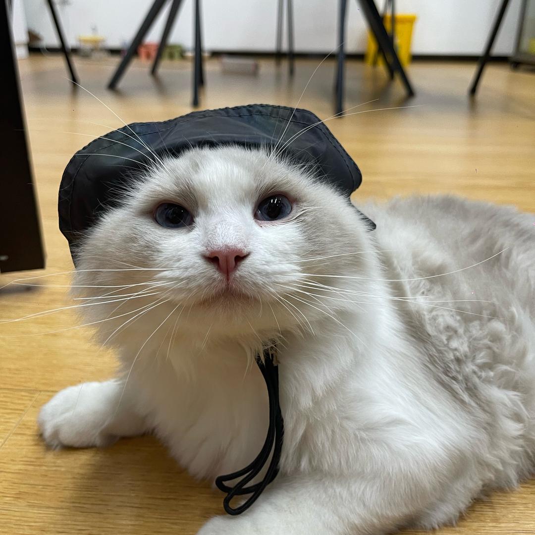 身体健康