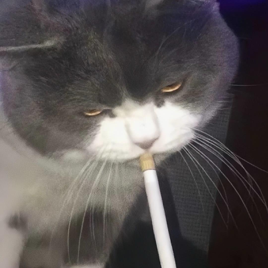什么华