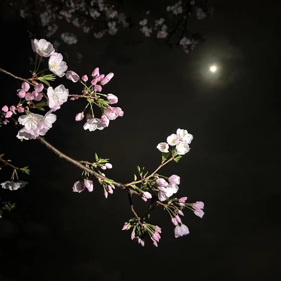 骨子里的小骄傲