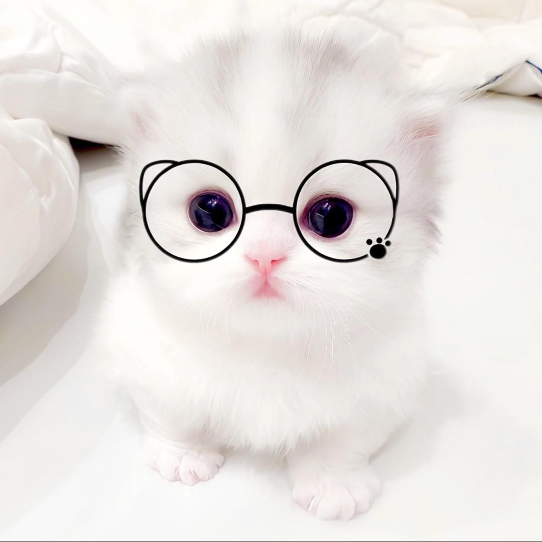 诉说