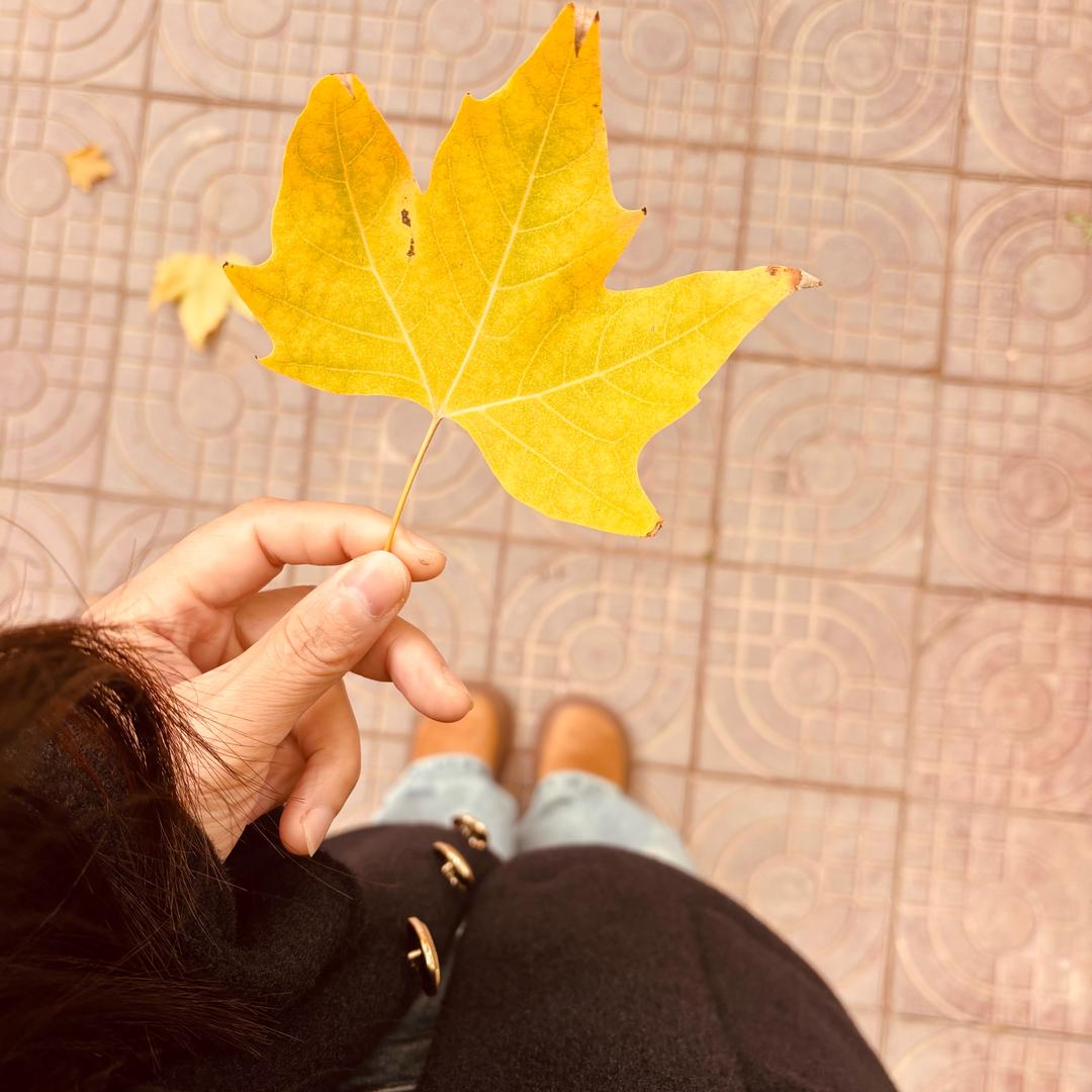 慢一点～也无妨