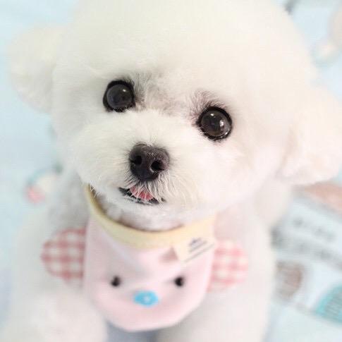 〆心若向阳、无畏悲伤