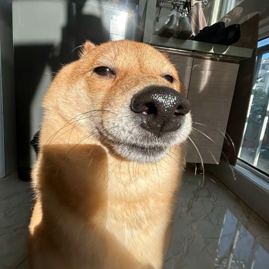 铁蛋