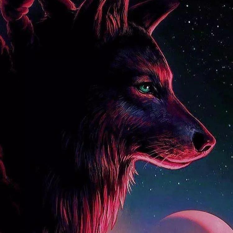 《简单☆大叔》